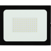 Прожектор Светодиодный Уличный ЭРА LPR-021-0-65K-100 100ВТ 6500К 8000ЛМ 251X183X36